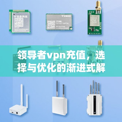 领导者vpn充值，选择与优化的渐进式解决方案