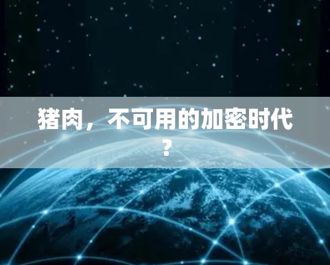 猪肉,不可用的加密时代? 猪肉,不可用的加密时代?