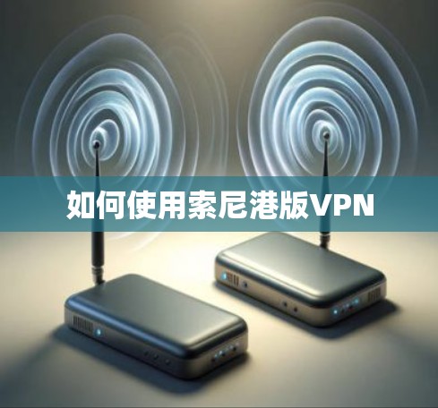 如何使用索尼港版VPN 如何使用索尼港版VPN