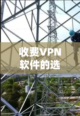 收费VPN软件的选择应根据个人的具体需求和预算来决定。以下是对不同软件的比较和建议