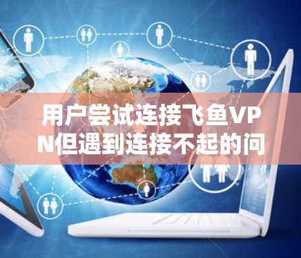 用户尝试连接飞鱼VPN但遇到连接不起的问题，可能的原因包括以下几种情况