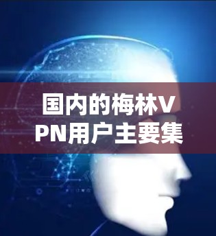 国内的梅林VPN用户主要集中在国内平台,主要使用国内版的梅林VPN,价格较低,但功能有限。以下是详细的总结 国内的梅林VPN用户主要集中在国内平台,主要使用国内版的梅林VPN,价格较低,但功能有限。以下是详细的总结