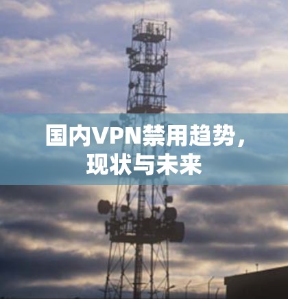 国内VPN禁用趋势，现状与未来