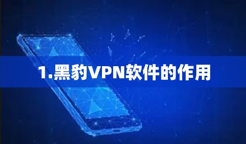 1.黑豹VPN软件的作用 1.黑豹VPN软件的作用
