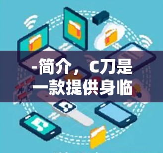 -简介，C刀是一款提供身临其境网络体验的VPN软件，用户可以访问实时网站，体验真实的网络环境