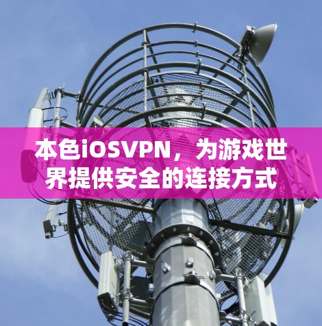 本色iOSVPN，为游戏世界提供安全的连接方式