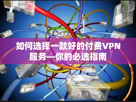 如何选择一款好的付费VPN服务—你的必选指南 如何选择一款好的付费VPN服务—你的必选指南