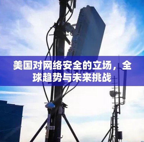 美国对网络安全的立场，全球趋势与未来挑战