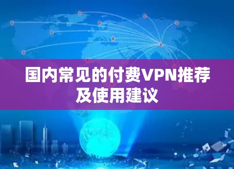 国内常见的付费VPN推荐及使用建议