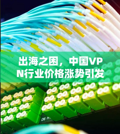 出海之困，中国VPN行业价格涨势引发用户担忧