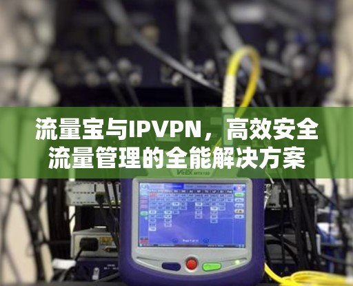 流量宝与IPVPN，高效安全流量管理的全能解决方案