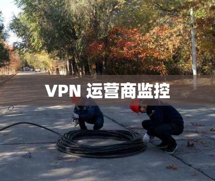 VPN 运营商监控 VPN 运营商监控