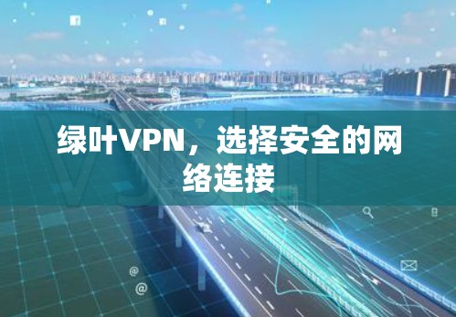 绿叶VPN,选择安全的网络连接 绿叶VPN,选择安全的网络连接