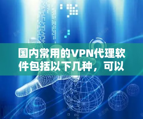 国内常用的VPN代理软件包括以下几种,可以根据自己的需求选择 国内常用的VPN代理软件包括以下几种,可以根据自己的需求选择