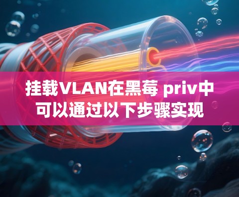 挂载VLAN在黑莓 priv中可以通过以下步骤实现
