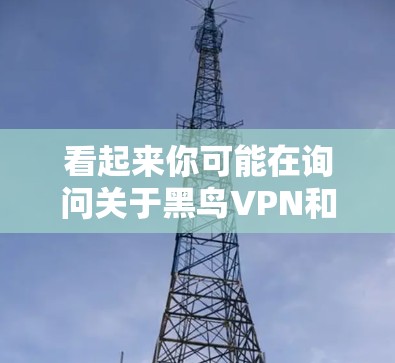看起来你可能在询问关于黑鸟VPN和安卓设备的使用问题。以下是一些可能的解释和建议 看起来你可能在询问关于黑鸟VPN和安卓设备的使用问题。以下是一些可能的解释和建议