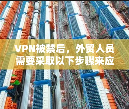 VPN被禁后,外贸人员需要采取以下步骤来应对挑战,确保数据完整性和安全,同时遵守法律和合规规定 VPN被禁后,外贸人员需要采取以下步骤来应对挑战,确保数据完整性和安全,同时遵守法律和合规规定