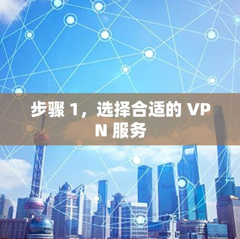 步骤 1,选择合适的 VPN 服务 步骤 1,选择合适的 VPN 服务