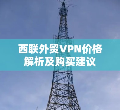 西联外贸VPN价格解析及购买建议 西联外贸VPN价格解析及购买建议