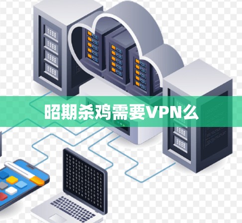 昭期杀鸡需要VPN么 昭期杀鸡需要VPN么