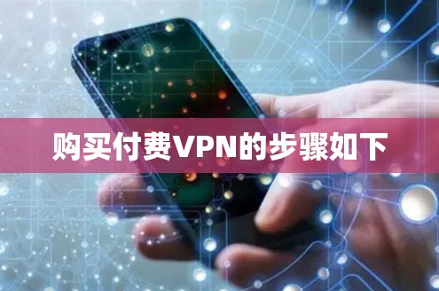 购买付费VPN的步骤如下 购买付费VPN的步骤如下
