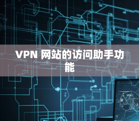 VPN 网站的访问助手功能