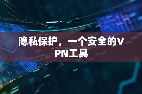 隐私保护,一个安全的VPN工具 隐私保护,一个安全的VPN工具