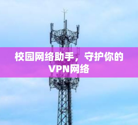校园网络助手,守护你的VPN网络 校园网络助手,守护你的VPN网络