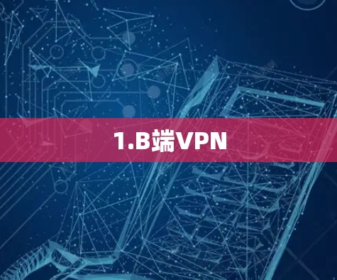 1.B端VPN 1.B端VPN