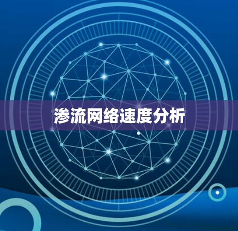 渗流网络速度分析 渗流网络速度分析