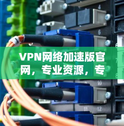 VPN网络加速版官网，专业资源，专业服务，专业体验