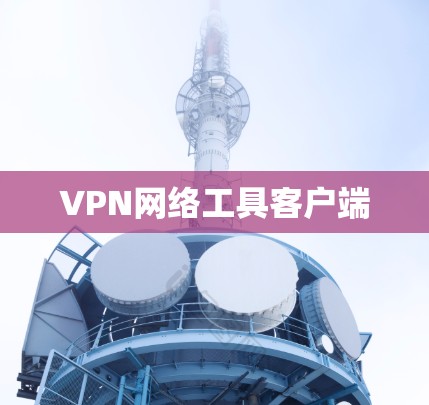 VPN网络工具客户端 VPN网络工具客户端