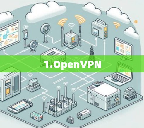 1.OpenVPN 1.OpenVPN