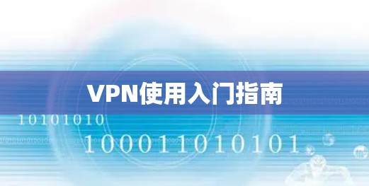 VPN使用入门指南