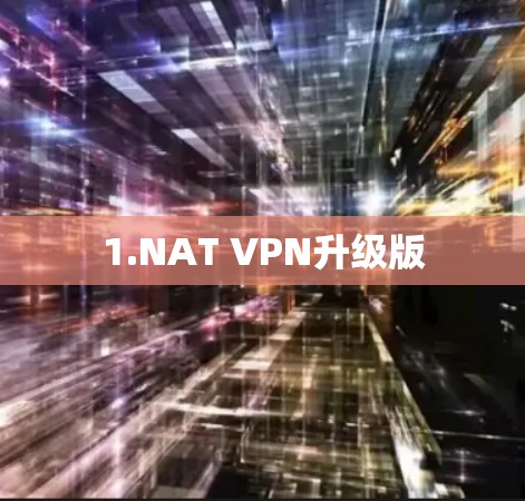 1.NAT VPN升级版 1.NAT VPN升级版