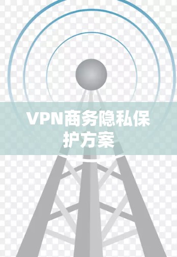 VPN商务隐私保护方案 VPN商务隐私保护方案