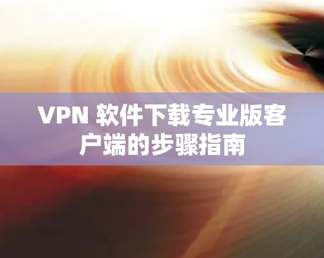 VPN 软件下载专业版客户端的步骤指南