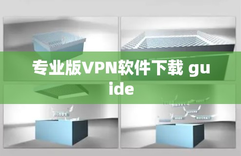 专业版VPN软件下载 guide