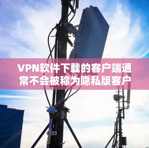 VPN软件下载的客户端通常不会被称为隐私版客户端。VPN软件主要是为了提供网络连接，而隐私通常是指对用户数据进行保护，而不是客户端的名称