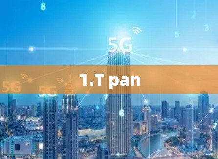 1.T pan