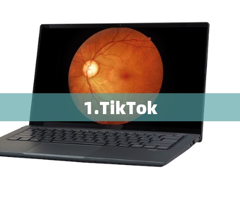 1.TikTok