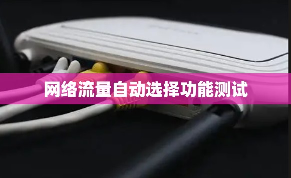 网络流量自动选择功能测试 网络流量自动选择功能测试
