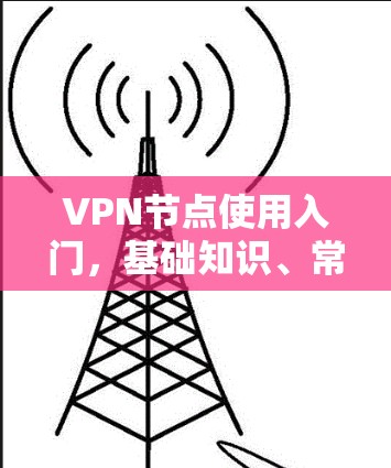 VPN节点使用入门,基础知识、常见问题及优化建议 VPN节点使用入门,基础知识、常见问题及优化建议