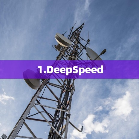 1.DeepSpeed 1.DeepSpeed