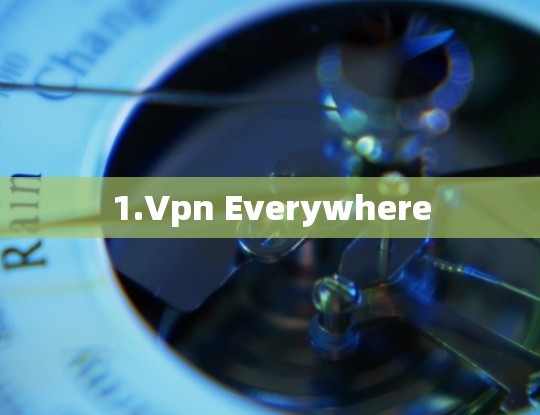 1.Vpn Everywhere