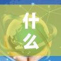 什么是VPN? 什么是VPN?