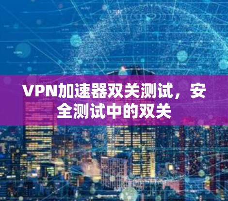 VPN加速器双关测试，安全测试中的双关
