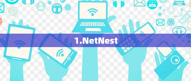 1.NetNest