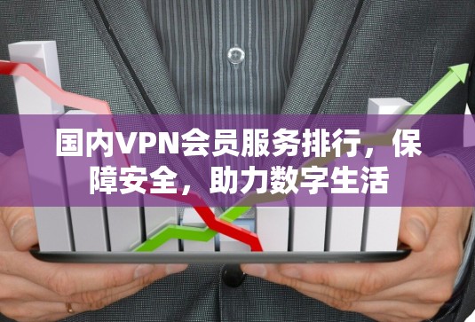 国内VPN会员服务排行，保障安全，助力数字生活