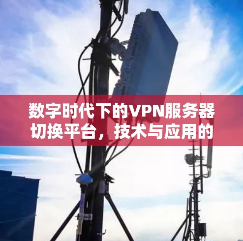 数字时代下的VPN服务器切换平台,技术与应用的深度融合 数字时代下的VPN服务器切换平台,技术与应用的深度融合